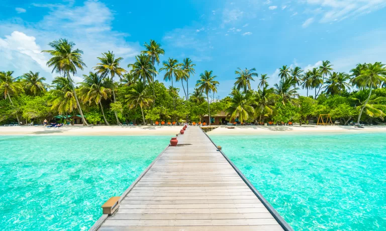 DOCTORS FOR MALDIVES